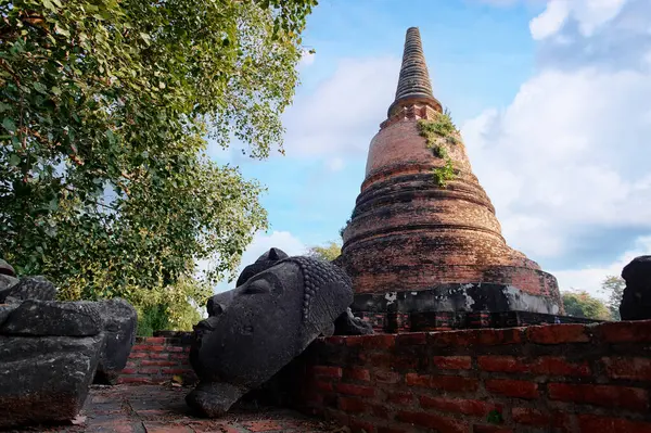 Ayutthaya Daki Tapınak Tapınağı Tarihi Parkı Tayland — Stok fotoğraf