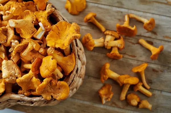 Vegetarian Cuisine Busket Chanterelle Mushrooms — Stock Photo, Image