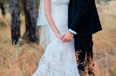 Düğün çifti romantik anlayışı. Gelin ve damat sarı çimenlerde el ele tutuşuyorlar..