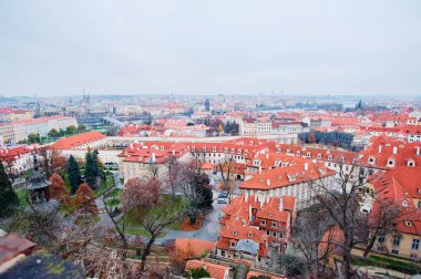 Seyahat ve mimarlık. Kırmızı kiremitli çatı manzaralı şehir manzarası. Prag, Çek Cumhuriyeti.