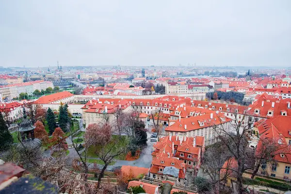 Podróże Architektura Pejzaż Miejski Czerwonym Dachem Praga Republika Czeska — Zdjęcie stockowe