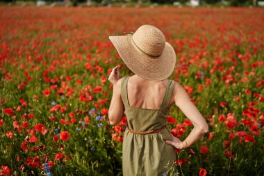 Yaz zamanı. Kırmızı haşhaş tarlasında yürüyen elbiseli genç kadın..