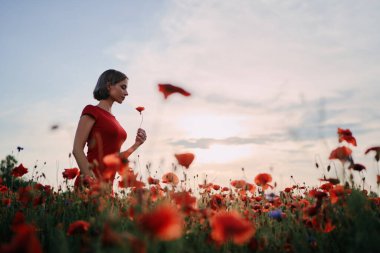 Yaz zamanı. Kırmızı haşhaş tarlasında yürüyen elbiseli genç kadın..