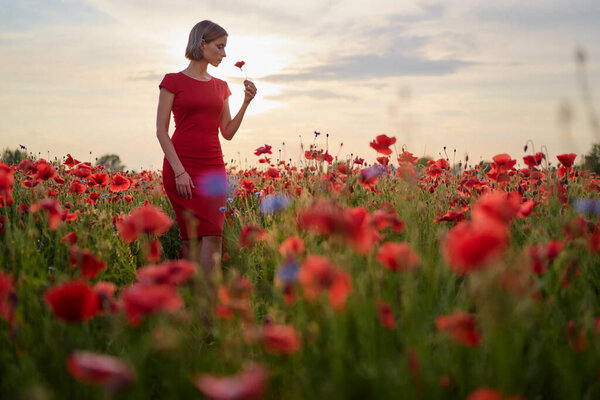 Summertime. Young woman in dress walking on red poppy field.