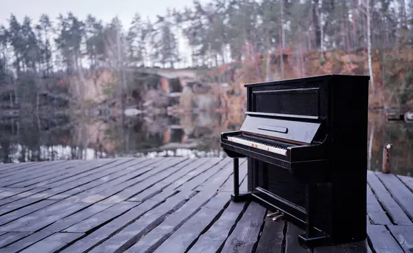 Muziek Natuur Oude Zwarte Piano Buurt Bos Meer — Stockfoto