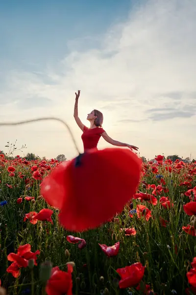 Красива Молода Жінка Червоній Сукні Танцює Балерина Лузі Макових Квітів Стокове Фото