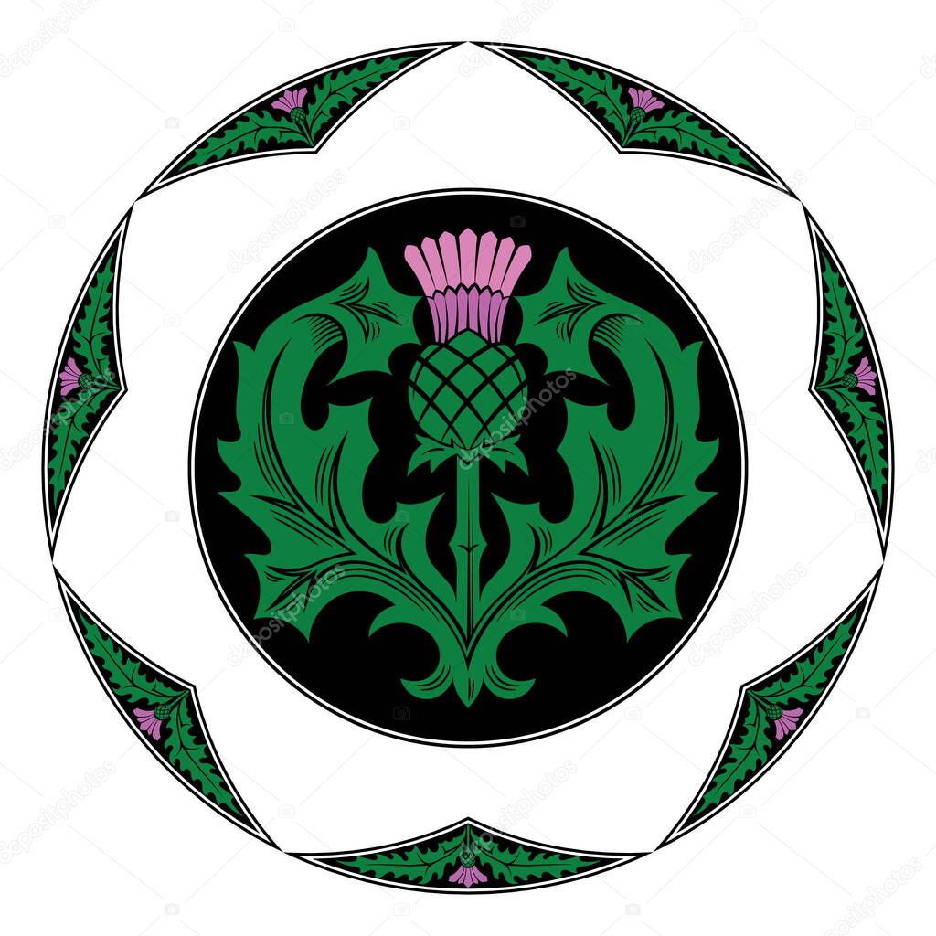 Thistle flower and ornament round leaf thistle. The Symbol Of Scotland, isolated on white, vector illustration