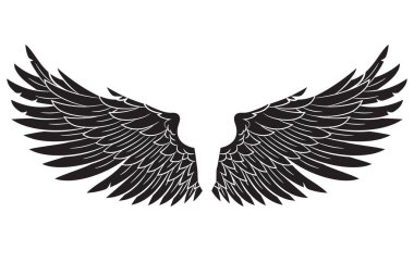 Beyaz üzerine izole edilmiş iki kanat, vektör çizimi