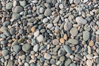 Portrait of young woman in black bikini on tropical beach looking at camera. Summer vacation and tanning concept.
