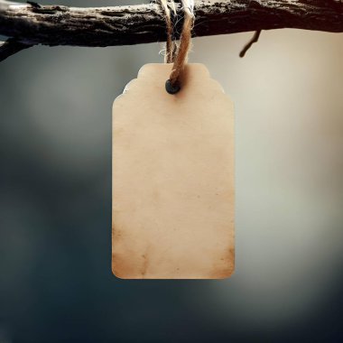 boş kağıt ya da karton etiket ağaçtan ya da çalılıktan sarkıyor