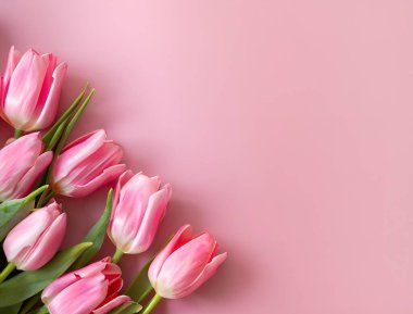  Bir buket pembe lale çiçeği pastel pembe arka planda fotokopi alanı ile