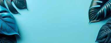 Pastel mavi renkli tropikal yaprak koleksiyonu, ücretsiz kopya alanı olan pastel mavi arkaplan