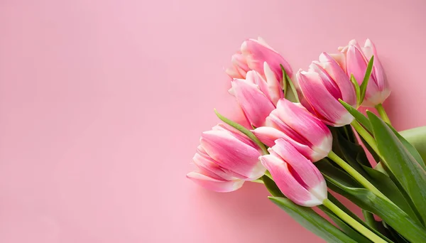 stock image  Bouquet of pink tulips flowers on pastel pink background with copy space