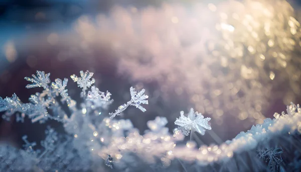 stock image winter background. bright pastel colors. flirring bokeh. snow flakes bokeh. ice crystals bokeh. ice flowers in focus