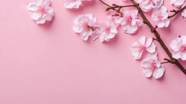 Pembe arka plan, fotokopi alanı, doğum günü, anneler günü, sevgililer günü, düğün,