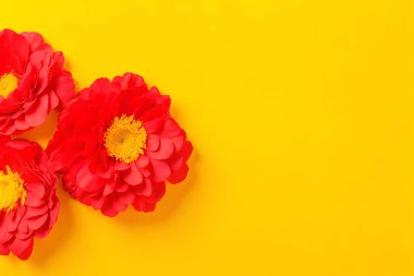 Boş bir arka planda çiçek kompozisyonu. Anneler Günü için çiçek arkaplanı, sevgililer günü, düğün, doğum günü. Boşluğu kopyala 