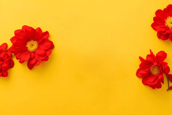 Florale Komposition Auf Einem Leeren Trendigen Hintergrund Blumenkulisse Für Muttertag — Stockfoto