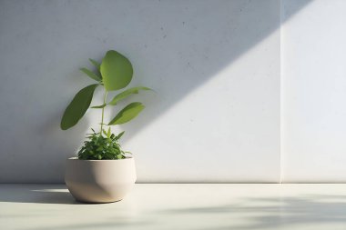 Çağdaş beyaz vazo yeşil bitki ile taş tezgah üzerinde boş ve boş alan ürün gösterimi için 