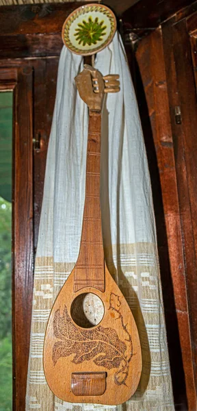 ドナウデルタ地域の民俗学に特化した弦楽器は 壁の内部装飾として使用されます ルーマニア共和国ドブロゲア県トゥルシア郡ムリヒオール町 — ストック写真
