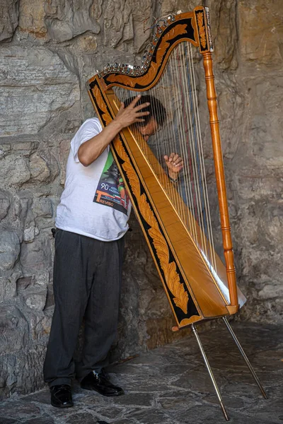 Bergamo Alta Citta Italy June 2019 Street Singer Playing Harp — Stock Photo, Image