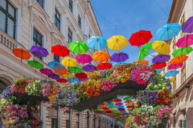 TIMISOARA, ROMANIA - 27 Nisan 2018: Renkli şemsiyeler ve güzel çiçeklerle süslenmiş cadde.