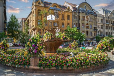 TIMISOARA, ROMANIA - 27 Nisan 2018: Belediye tarafından düzenlenen Çiçek Festivali vesilesiyle Zafer Meydanı 'nda çiçek süslemeleri. Eski çeşme destektir..