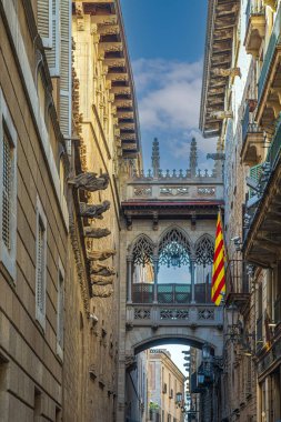 Carrer del Bisbe caddesi ile Pont del Bisbe (Bishop Köprüsü), Palau de la Generalitat ile İspanya 'nın Barselona bölgesindeki Canonges adalarını birleştiren Neo-Gotik bir köprü..