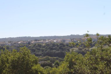 Barselona şehrinin manzarası