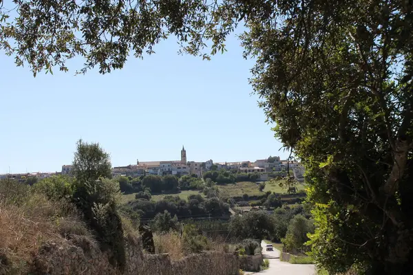 Barselona şehrinin manzarası