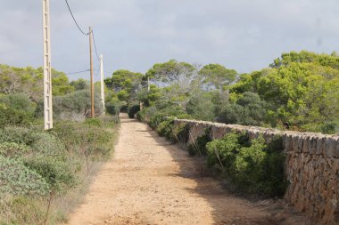 Cala Figuera Sahili. Mallorca Adası. Balear Adaları. İspanya