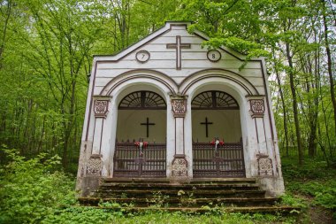 Slovakya 'da yaz aylarında Bardejov' da süvariler