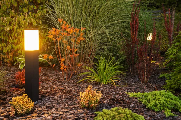 Açık Havada Bollard Lambası Akşamları Renkli Bitkileri Aydınlatıyor Peyzajlı Bahçe — Stok fotoğraf