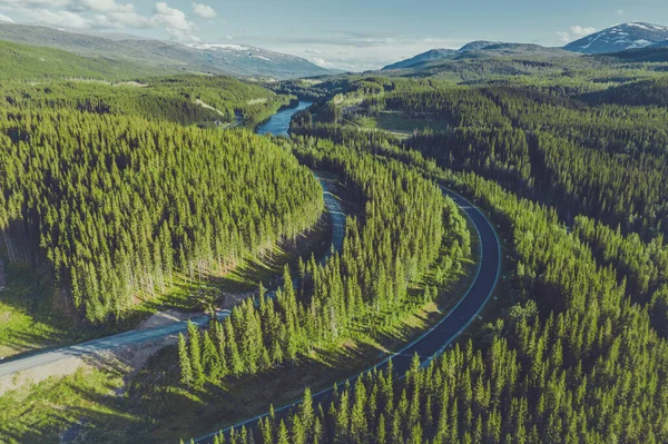 Scenic Road Large Forest Provincie Nordland Noorwegen River Bend Mountains — Stockfoto