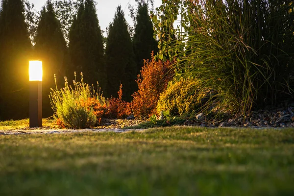 Zbliżenie Lampy Bollarda Ogrodzie Ogródkowym Oświetlające Najbliższe Rośliny Wieczorem Temat — Zdjęcie stockowe