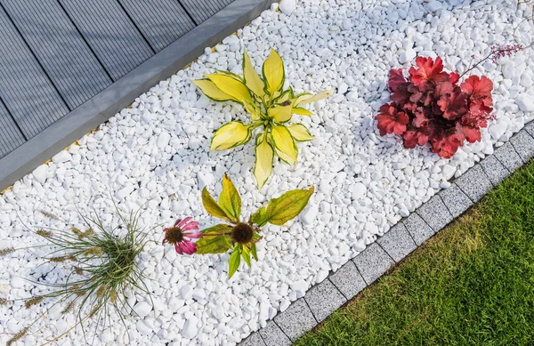 Κλείσιμο Του Minimalistic Flower Bed Γεμάτο White Garden Βότσαλα Backyard — Φωτογραφία Αρχείου