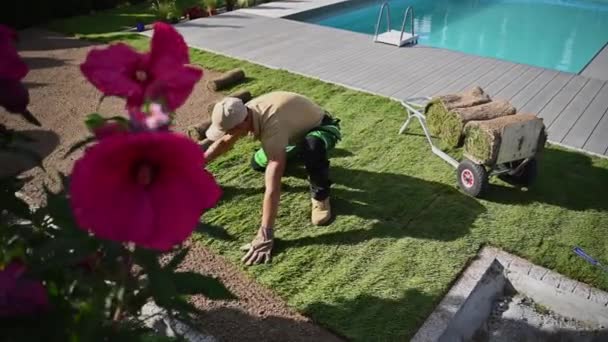 Bahçe Düzenleyicisi Yeni Doğal Çimen Çimleri Arka Bahçe Yüzme Havuzu — Stok video