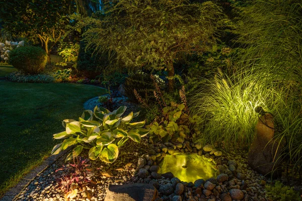 Night Time Residential Back Yard Garden Led Illumination — Stock Photo, Image