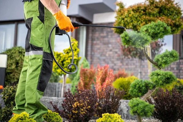 Closeup Professional Gardener Menerapkan Pest Control Chemicals Pada Tanaman Tema — Stok Foto