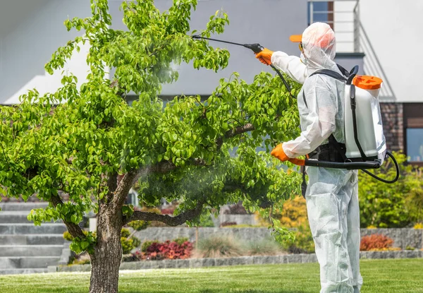 Profesionální Zahradník Ochranném Vybavení Bezpečné Použití Pesticidů Stromě Pomocí Postřikovače — Stock fotografie