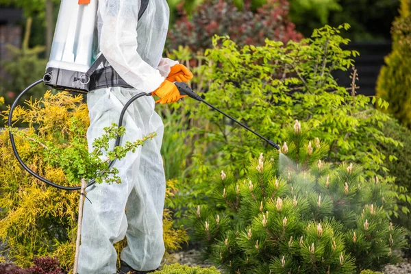 Profesional Gardener Safety Uniform Spraying Pesticides Plants Using Pump Sprayer — Stok Foto