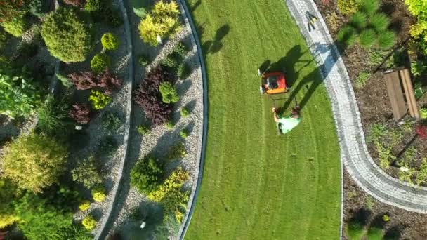 プッシュスプレッダー付きのプロフェッショナルガーデンワーカーの空中ビュー 芝生の肥料のテーマ 造園業 — ストック動画