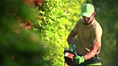 Kablosuz elektrik budayıcı kullanarak Yeşil Duvar Kesme