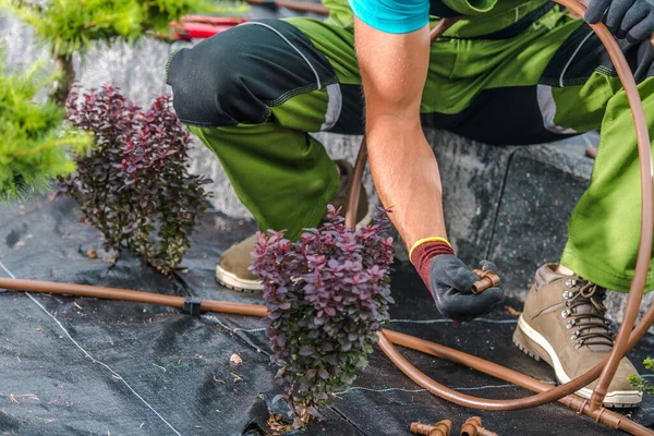 プロの庭師は 植物のための定期的な水の配信を確保するために自動ガーデンドリップ灌漑システムをインストールします — ストック写真