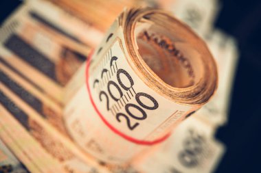 Closeup of Money Roll. The National Currency of Poland in Cash. Polish Zloty Two Hundreds Banknotes. Finances and Economics Theme.