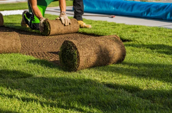 Natural Grass Turfs Rolling Residential Backyard Landscaping Industry Job — Stock Photo, Image