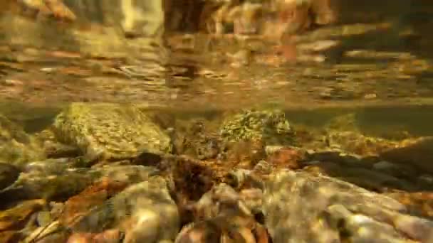 Rocky Bed Colorado Mountain River Underwater Footage — Video Stock