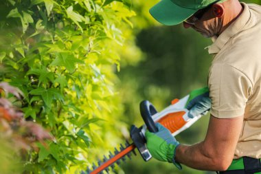 Garden with Shrub Trimmer Shaping Decorative Plant in a Backyard. Spring Garden Maintenance.