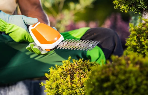 Closeup of Hand-Held Hedge Trimmer in Hands of Professional Gardener. Gardening Power Tools and Equipment Theme.