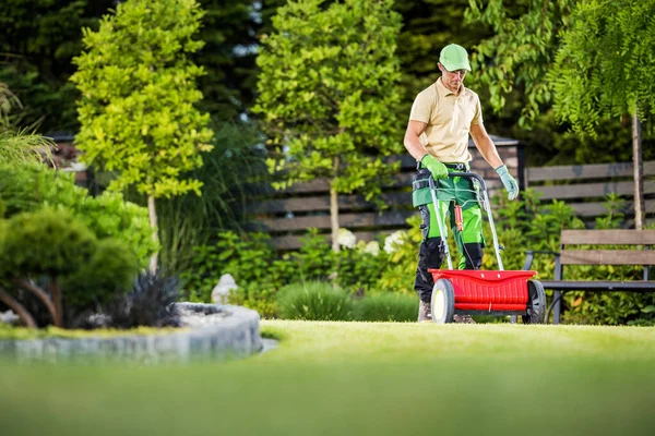 프로페셔널 캅카스 가드너 Profting Seeds Lawn Using Garden Spreader Tool — 스톡 사진