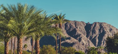 California Coachella Valley Landscape with Palms and Mountains.